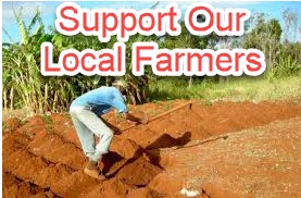 Support local farmers